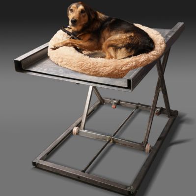 Rafe H - Height Adjustable Table for Vets